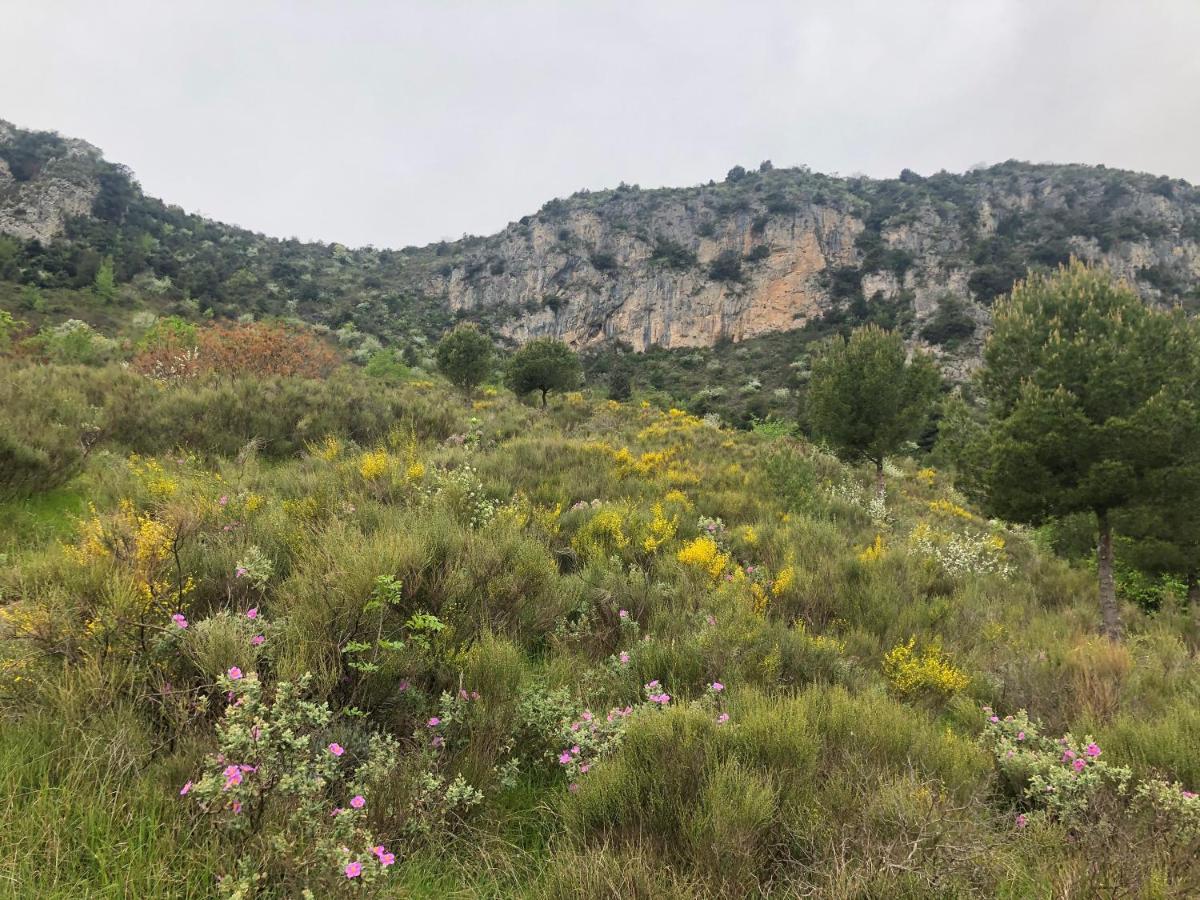 "Aux Balcons Du Riou" Avec Vue Mer 180 Degres Vence Kültér fotó