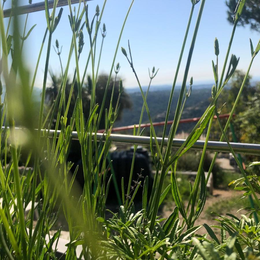 "Aux Balcons Du Riou" Avec Vue Mer 180 Degres Vence Kültér fotó